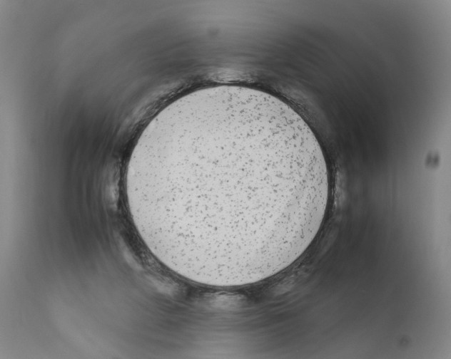 X0000110950210200907311050