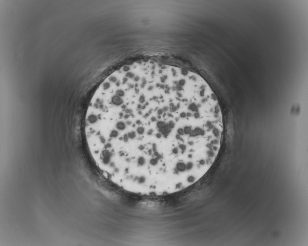 X0000110950211200907311050