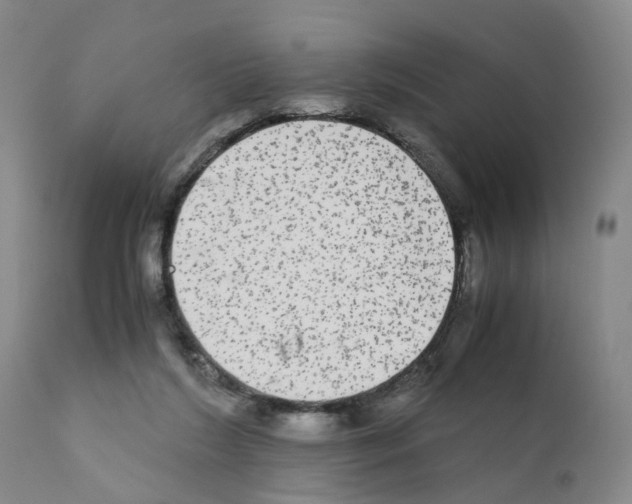 X0000110950212200907311050