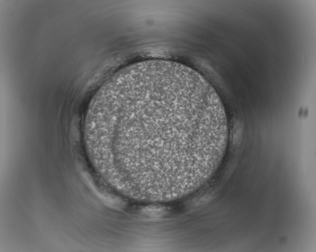 X0000110950213200907311050