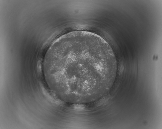 X0000110950214200907311050