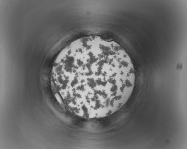 X0000110950215200907311050