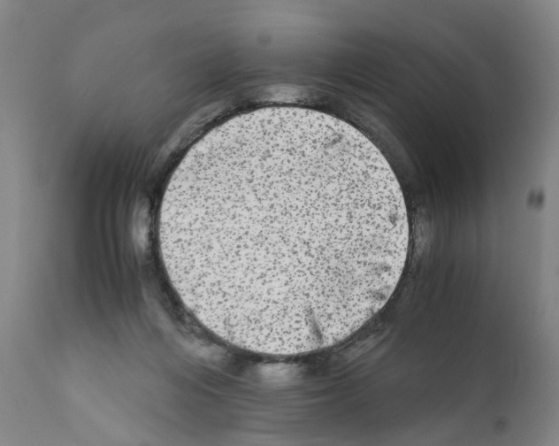 X0000110950216200907311050