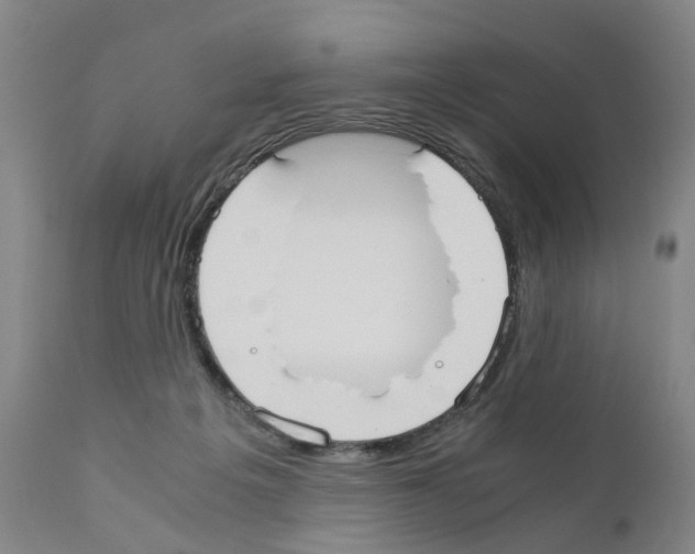 X0000110950217200907311050