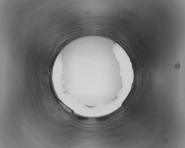 X0000110950219200907311050