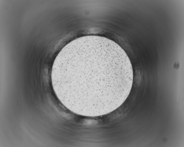 X0000110950220200907311050