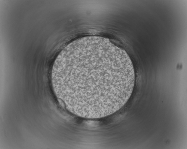 X0000110950221200907311050