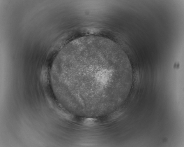 X0000110950222200907311050