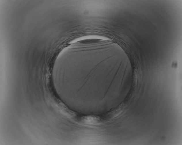 X0000110950223200907311049