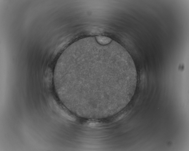 X0000110950228200907311049