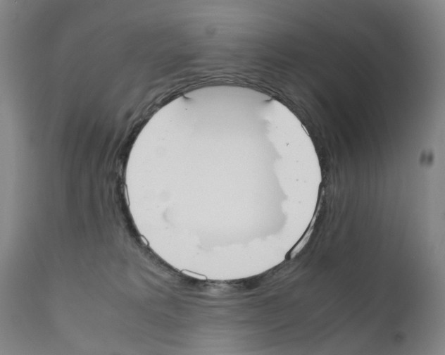 X0000110950229200907311049