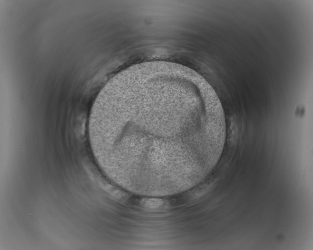 X0000110950230200907311049