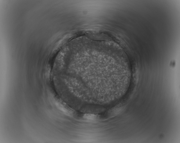 X0000110950231200907311049