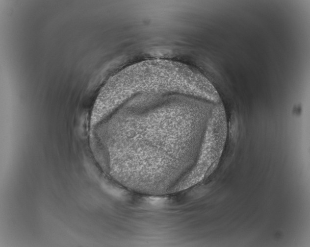 X0000110950233200907311049