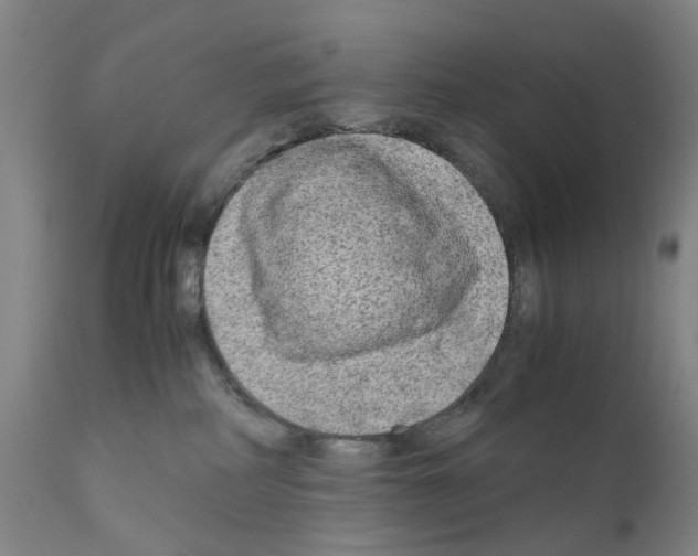X0000110950234200907311049
