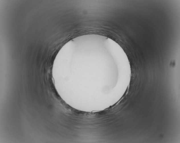 X0000110950235200907311049