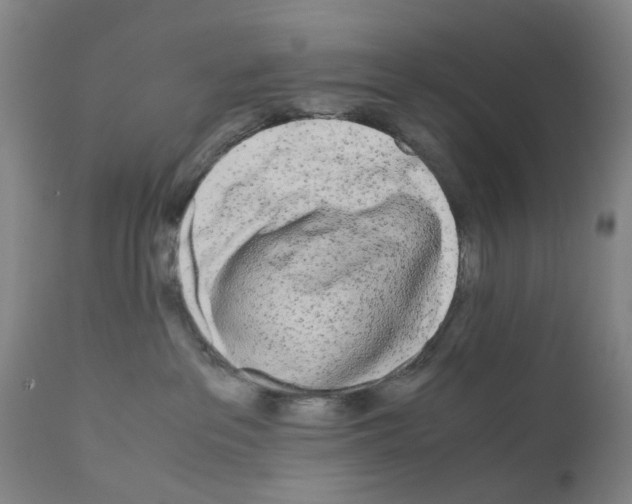 X0000110950237200907311049