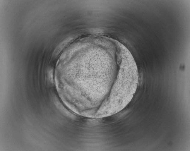 X0000110950238200907311049