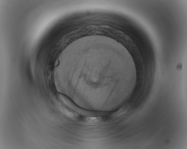 X0000110950239200907311049