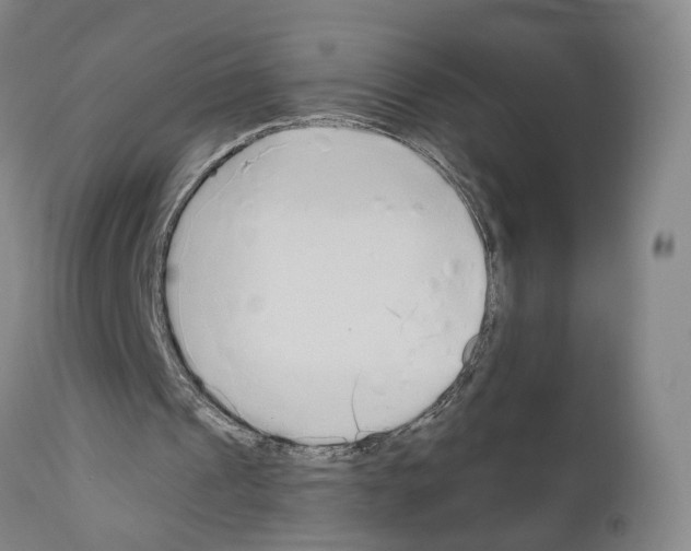 X0000110950241200907311049