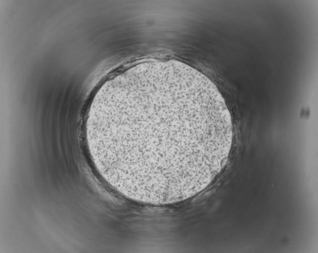 X0000110950242200907311049
