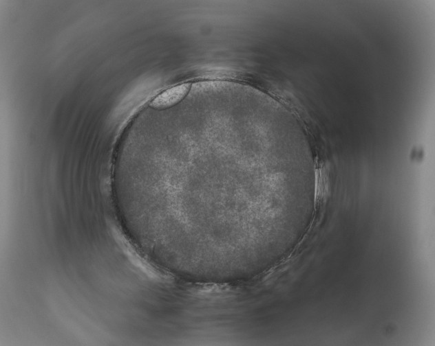X0000110950243200907311049
