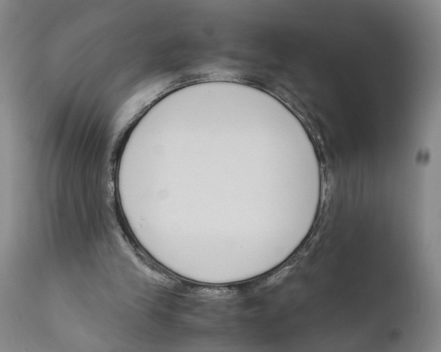X0000110950245200907311049