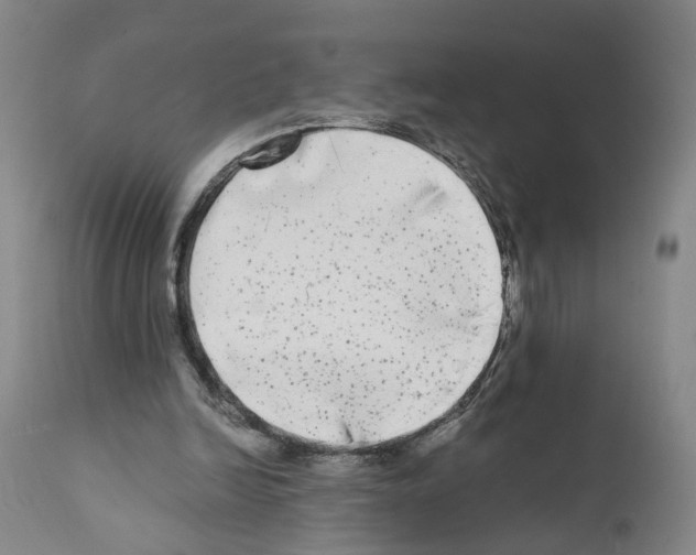 X0000110950246200907311049