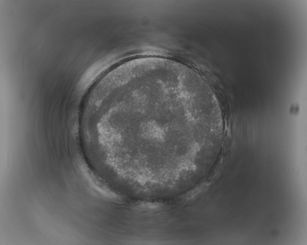 X0000110950247200907311049