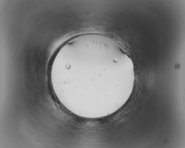 X0000110950248200907311049
