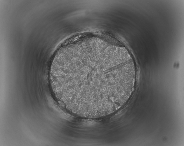 X0000110950249200907311049