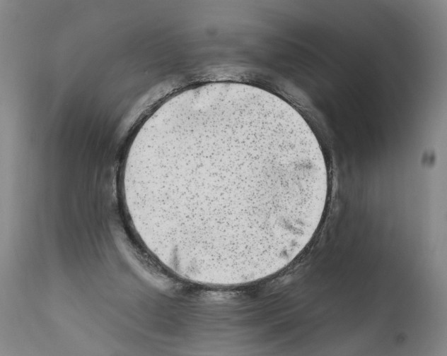 X0000110950250200907311049