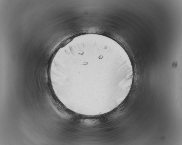 X0000110950251200907311049