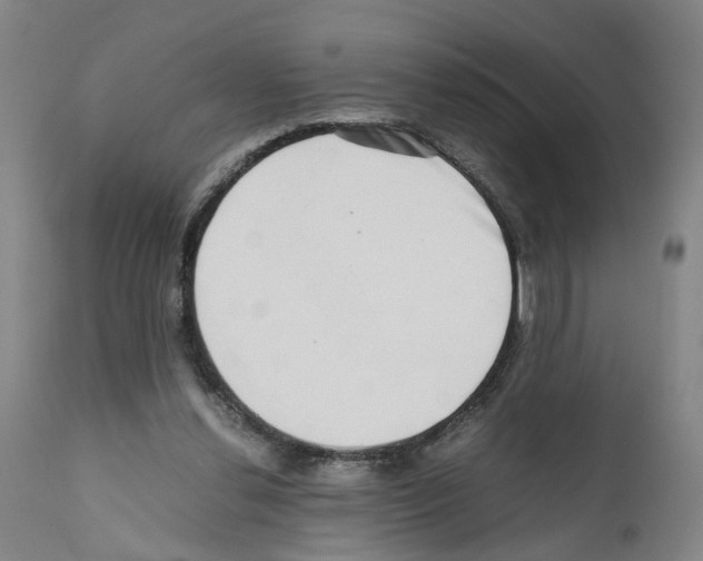 X0000110950252200907311049