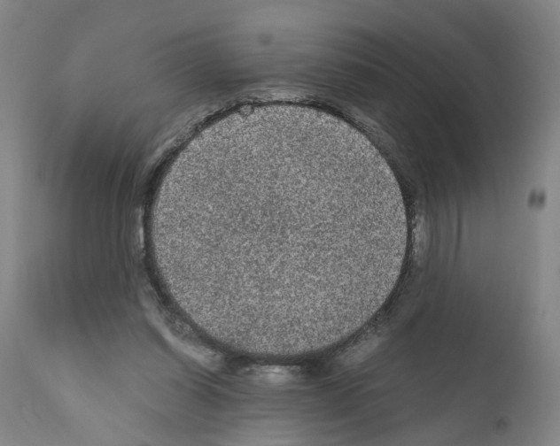 X0000110950254200907311049