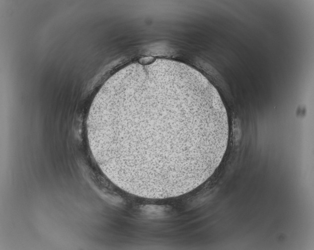 X0000110950255200907311049