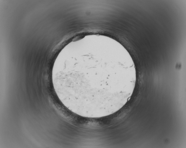X0000110950256200907311049