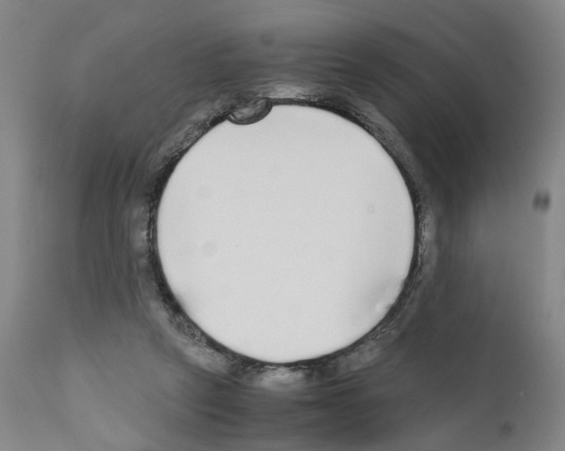 X0000110950257200907311049