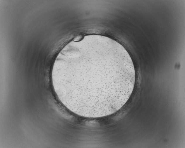 X0000110950258200907311049