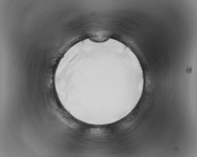 X0000110950259200907311049