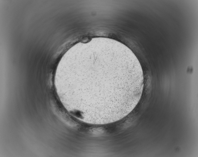 X0000110950262200907311049