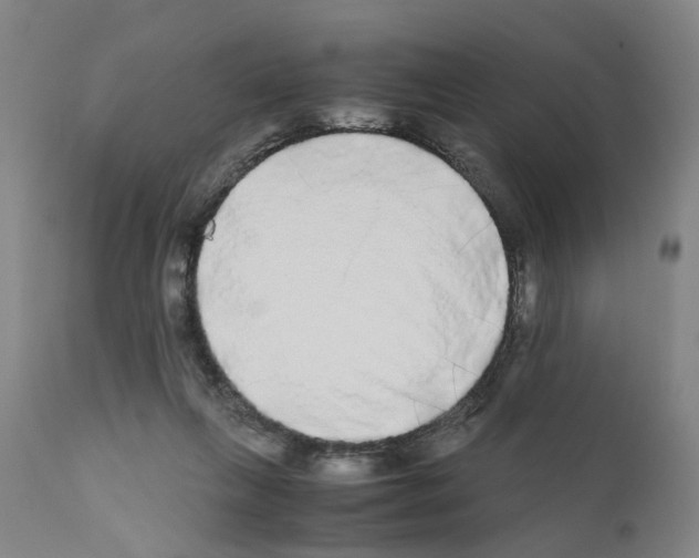X0000110950263200907311049