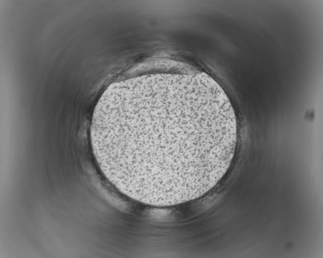 X0000110950265200907311049