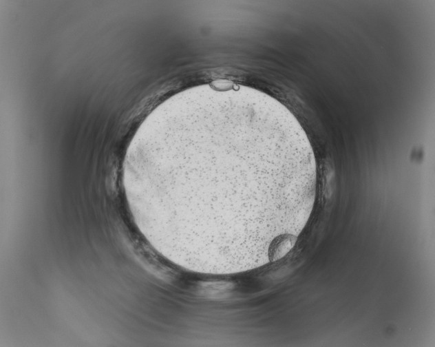 X0000110950266200907311049