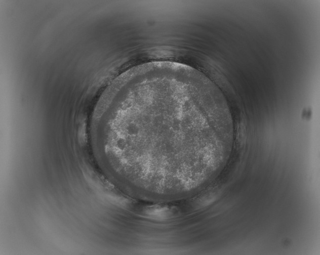 X0000110950267200907311049