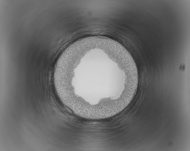 X0000110950268200907311049