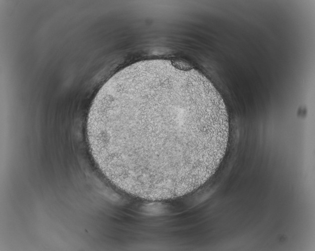 X0000110950269200907311049