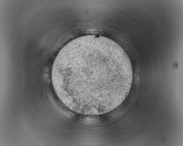 X0000110950270200907311049