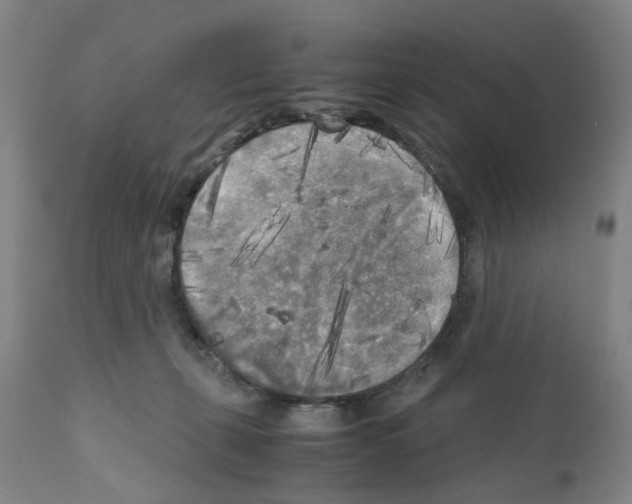 X0000110950271200907311049