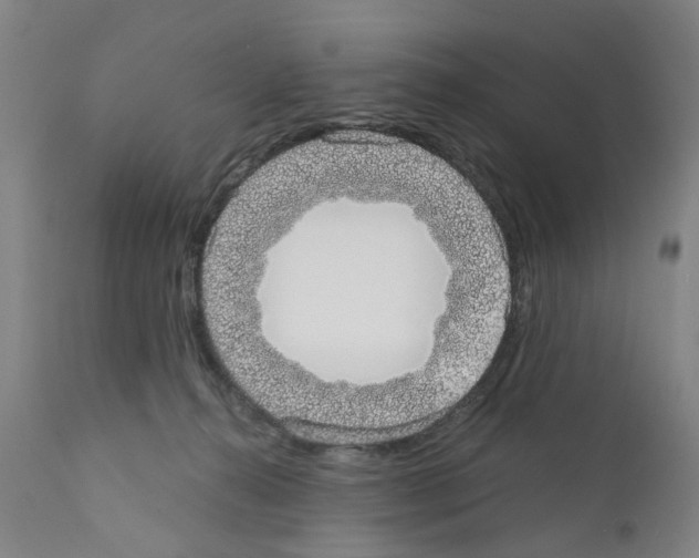 X0000110950272200907311049
